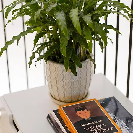 Bed and breakfast Morabella 3*