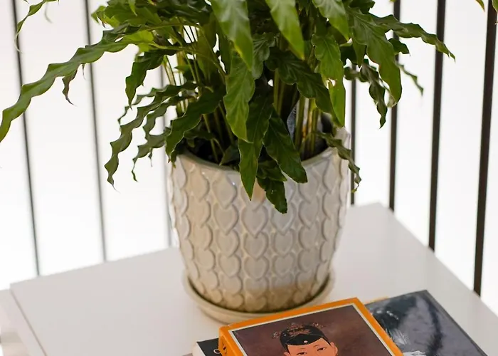 فندق مبيت وإفطار Morabella 3*